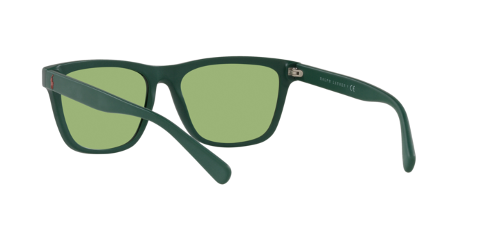 Polo Ralph Lauren PH4167 5421/2  